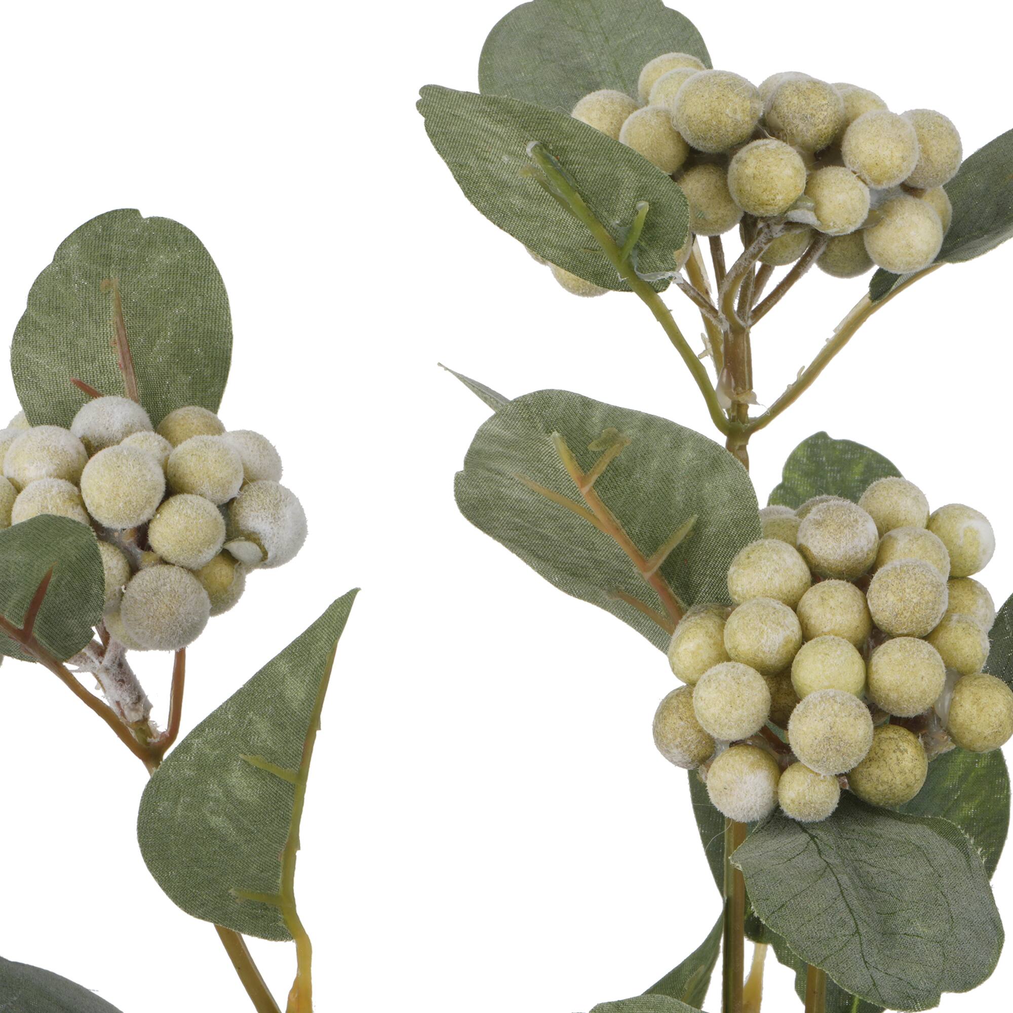 12 Pack: 28" Sage Green Berry Stem by Ashland®